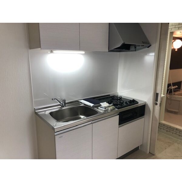 ミラネーゼ大通東　南館 画像6