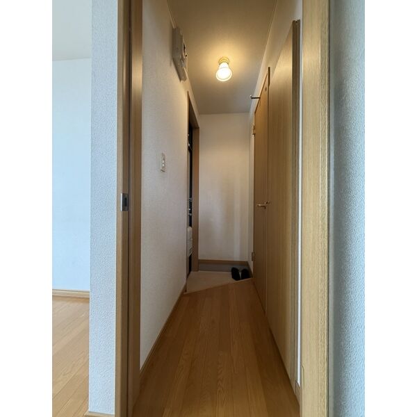 フォレスト31 画像15