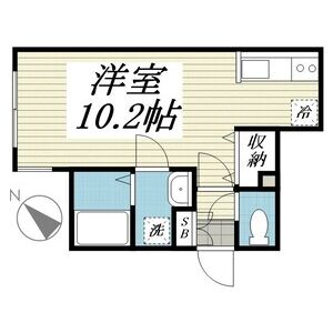 アビシニアン 画像14