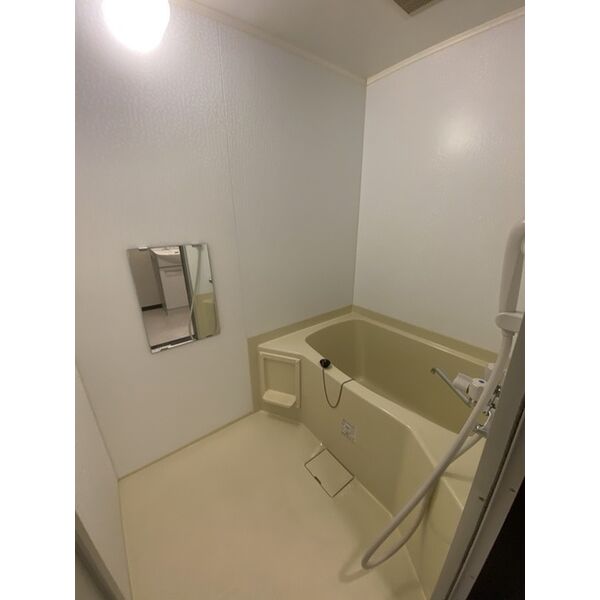 バス