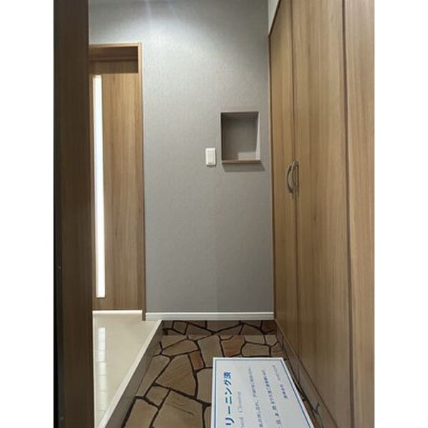 アビシニアン 画像13