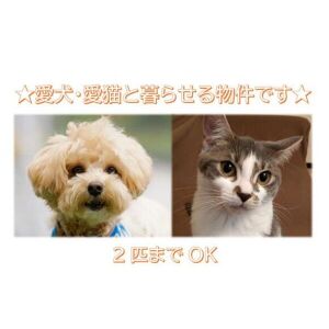 物件写真