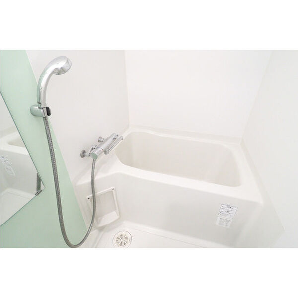 アドバンス大阪城アンジュの室内写真5枚目