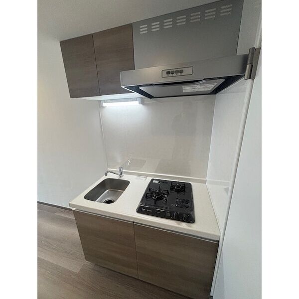 グランシティレジデンス 京都西院の室内写真3枚目