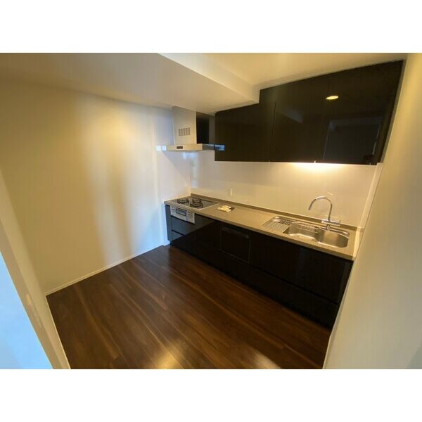 ブランズタワー南堀江の室内写真3枚目