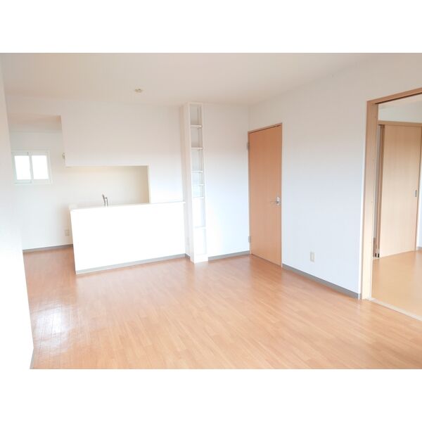 PALACION 画像5