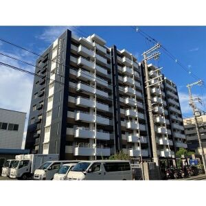 ピカソ平野