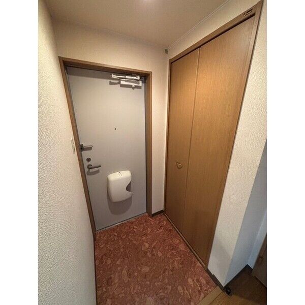 APITA　KAMUI310 画像3