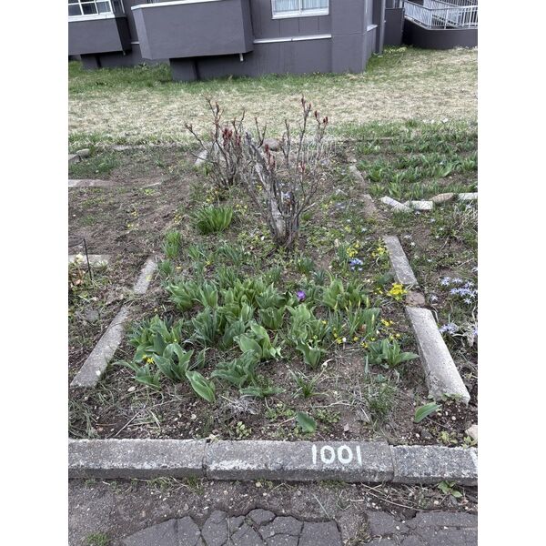 五輪団地H3号棟 画像6
