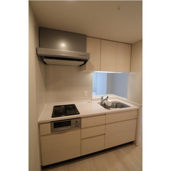 OPUS RESIDENCE SHINSAIBASHI SOUTHの室内写真47枚目