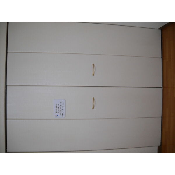 e-one 画像15