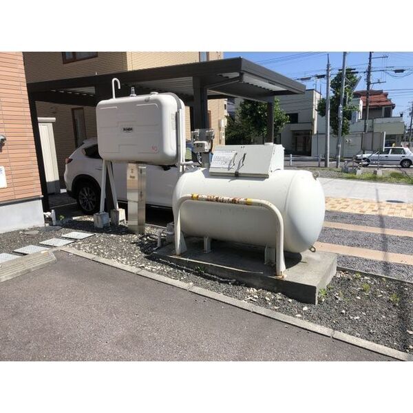クレステッドピジョン 画像2