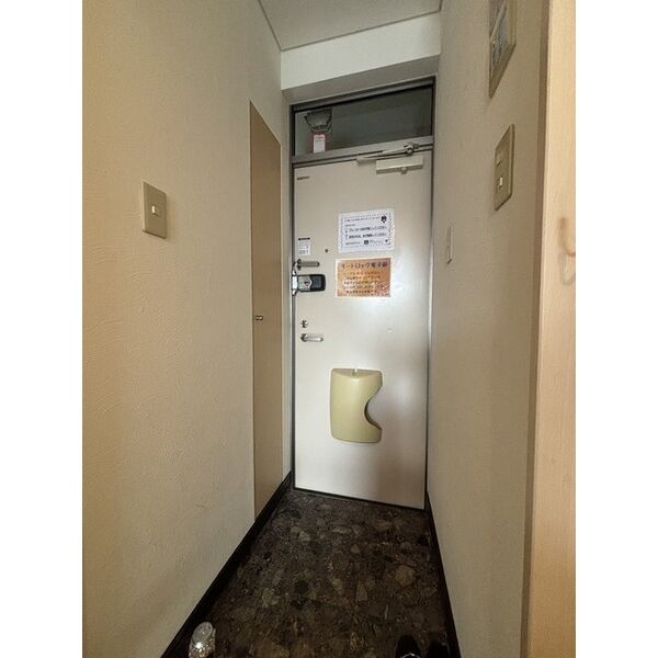 WING22 画像4