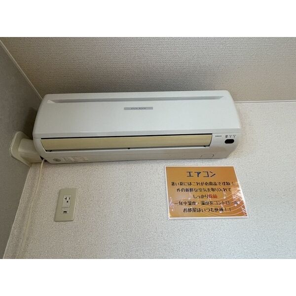 パレットコートL 画像12