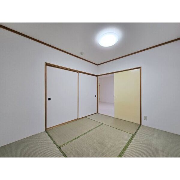 Seta’x432 画像13