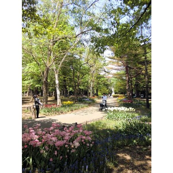 クリオ円山公園壱番館 画像7