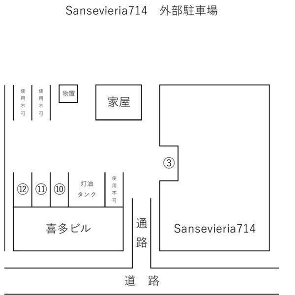 Sansevieria(サンスベリア)714 画像10