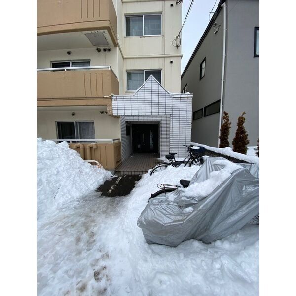Edelweiss1016 画像9