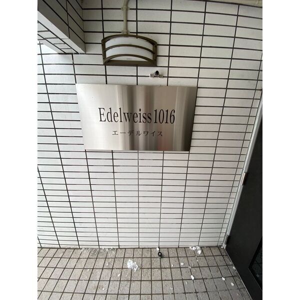 Edelweiss1016 画像3
