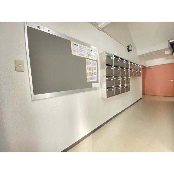 Edelweiss1016 画像4