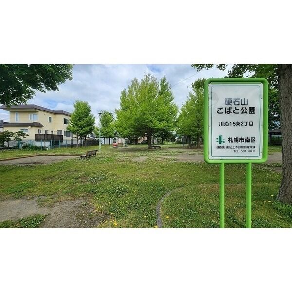 プルメリア川沿 画像6