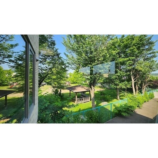 プルメリア川沿 画像16