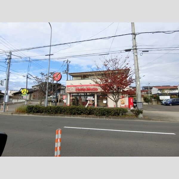 現地周辺 (ほっともっと仙台新田3丁目店228m)