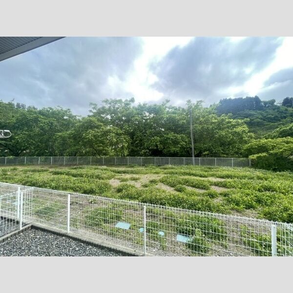 現地周辺 (眺望)