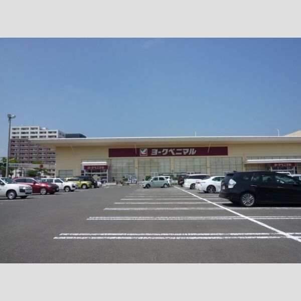 現地周辺 (ヨークベニマル新田東店　257m)