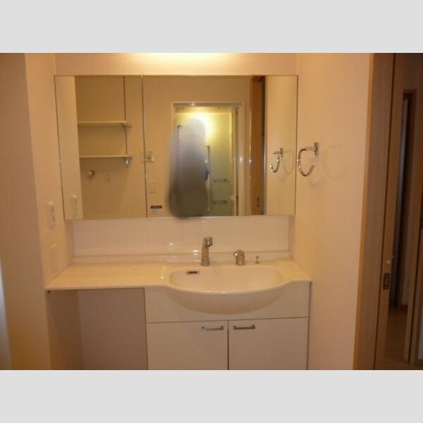 洗面所 (洗髪洗面化粧台)