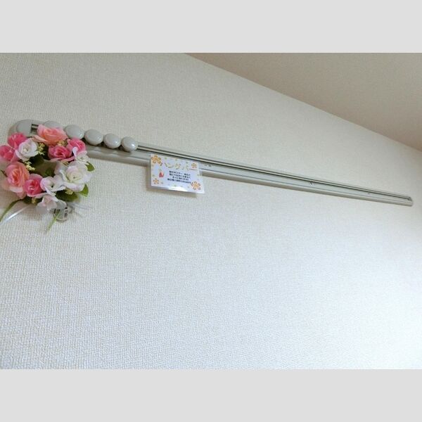 その他 (ハングバー(洋室2))