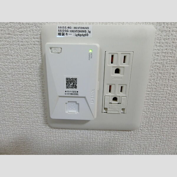 その他 (ネット)