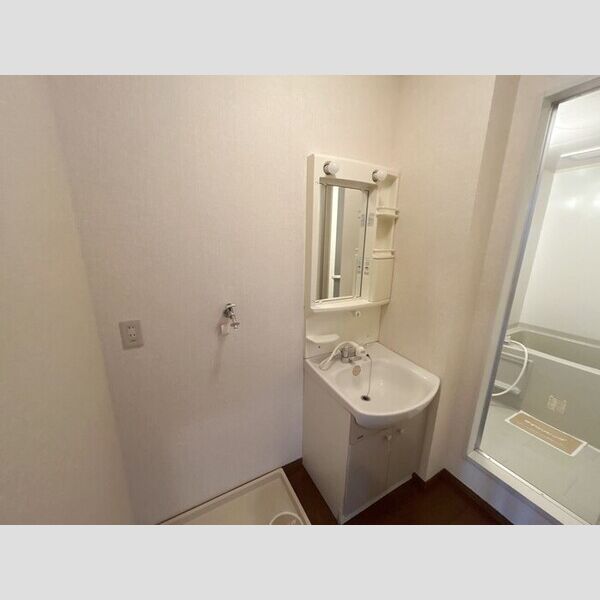 洗面所 (洗髪洗面化粧台)