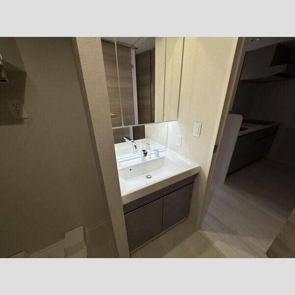 洗面所 (洗髪洗面化粧台)
