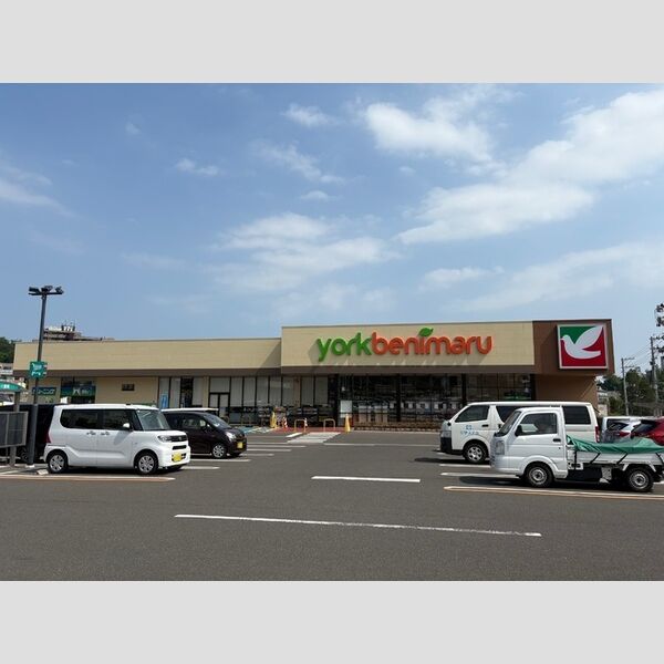 その他 (ヨークベニマル仙台小松島店)
