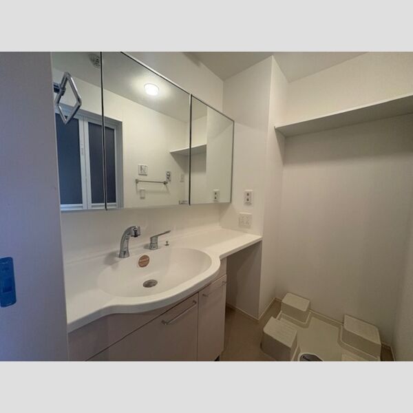 洗面所 (洗髪洗面化粧台)