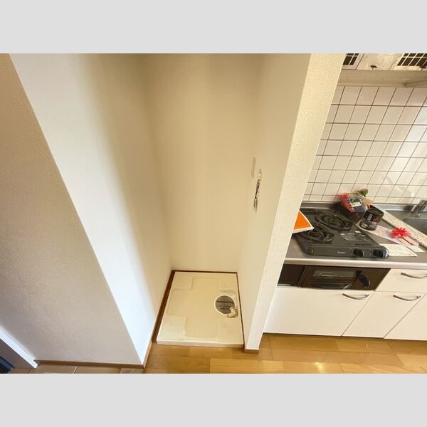 その他 (室内洗濯機置場)