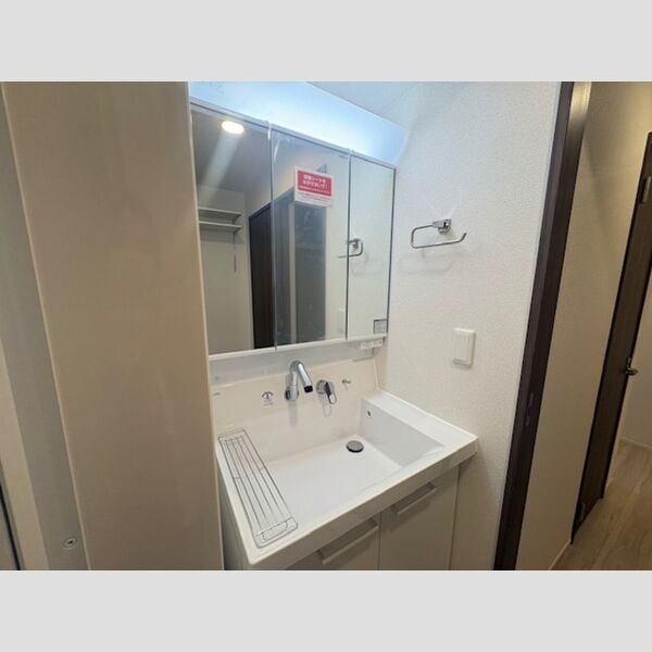 洗面所 (洗髪洗面化粧台)