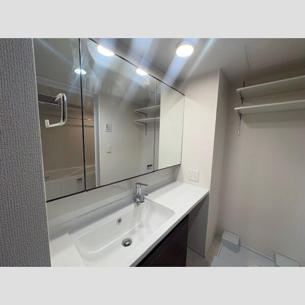 洗面所 (洗髪洗面化粧台)