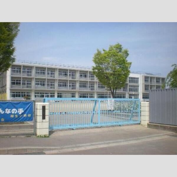 現地周辺 (柳生小学校)