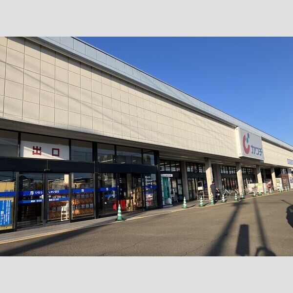 現地周辺 (カワチ薬品仙台東店)