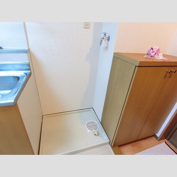 その他 (室内洗濯機置き場)