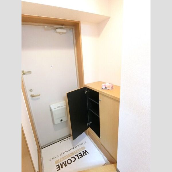 玄関 (シューズボックス)