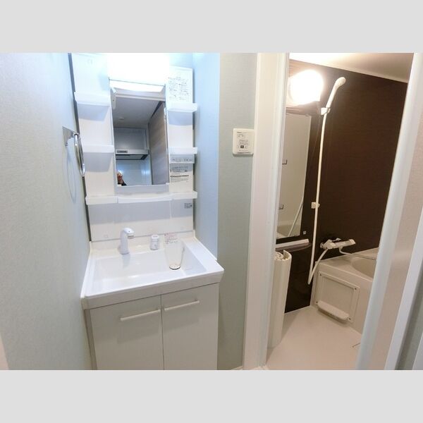 洗面所 (洗髪洗面化粧台)