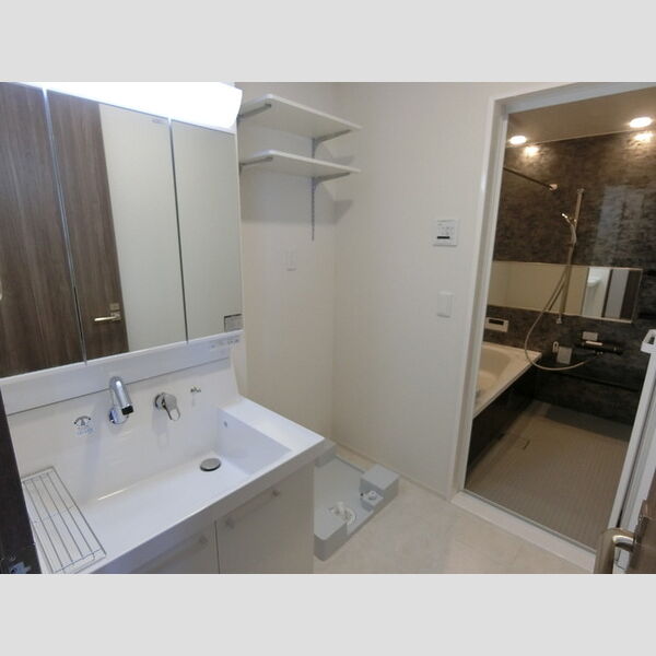 洗面所 (洗面所)