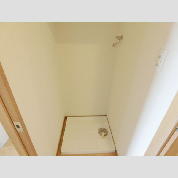 洗面所 (室内洗濯機置場)