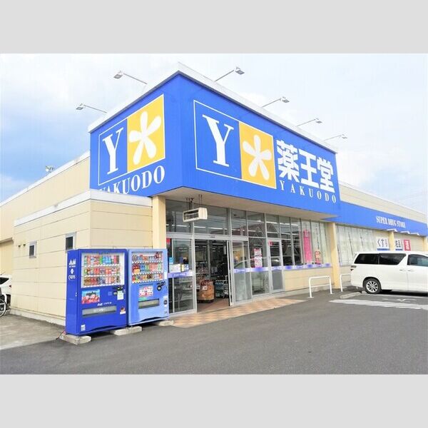 現地周辺 (薬王堂　水沢町屋敷店(700m))