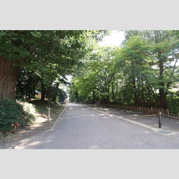 現地周辺 (建物西側道路)