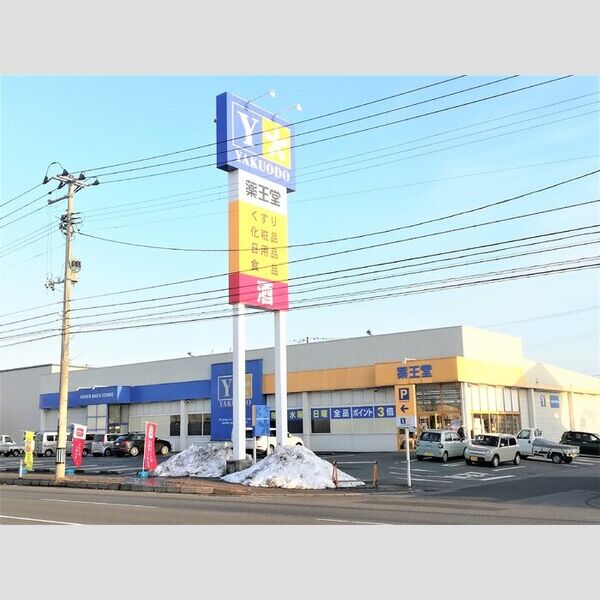 現地周辺 (薬王堂　江刺店(630m))