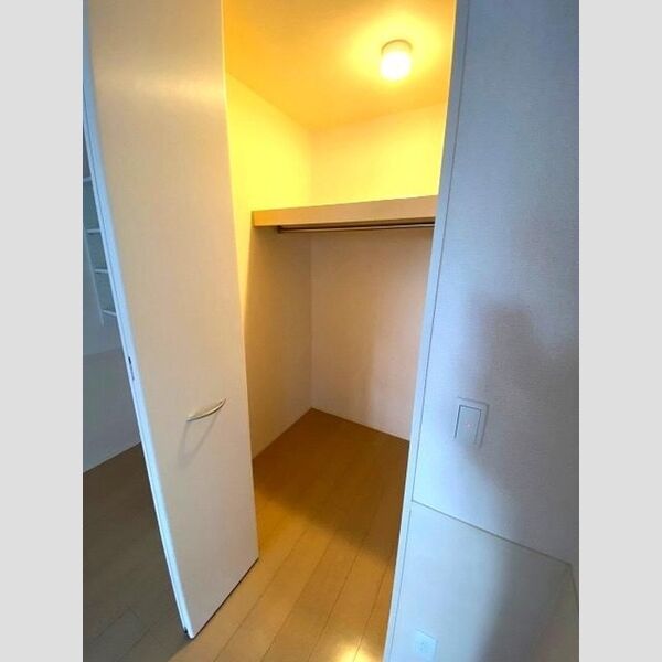 収納 (ウォークインクローゼット)